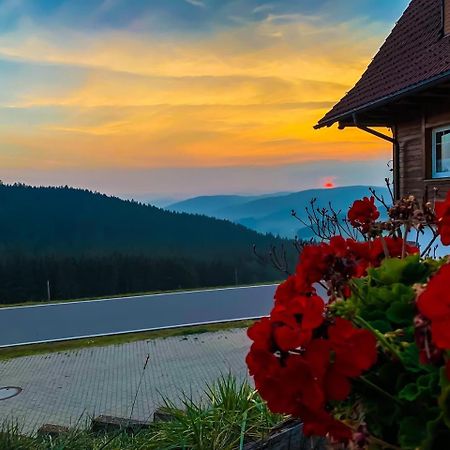 Pension Forsthaus Taele - Das Gaestehaus Vom Schwarzwaldgasthaus Salenhof Titisee-Neustadt Zewnętrze zdjęcie