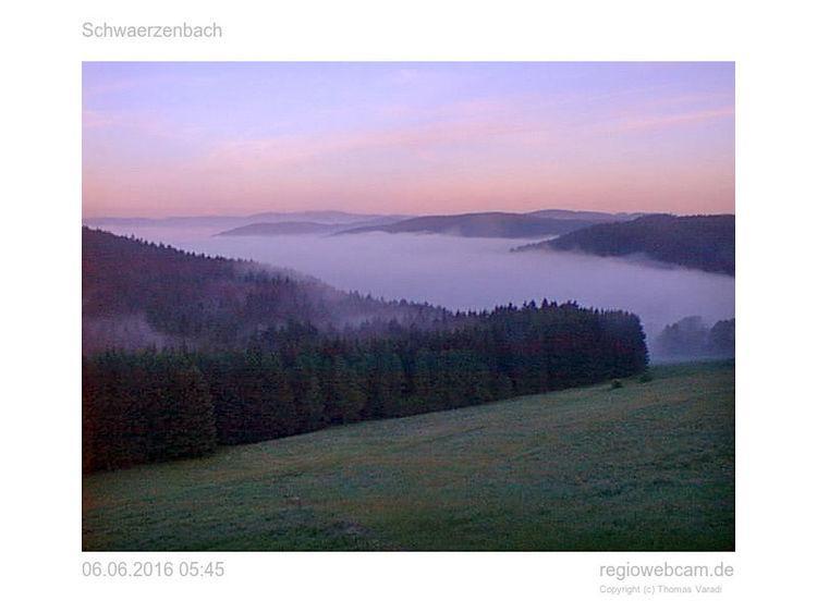 Pension Forsthaus Taele - Das Gaestehaus Vom Schwarzwaldgasthaus Salenhof Titisee-Neustadt Zewnętrze zdjęcie