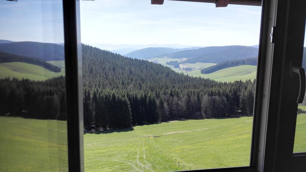 Pension Forsthaus Taele - Das Gaestehaus Vom Schwarzwaldgasthaus Salenhof Titisee-Neustadt Zewnętrze zdjęcie