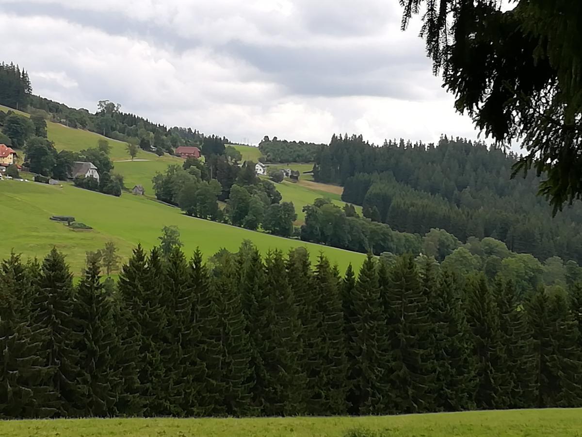 Pension Forsthaus Taele - Das Gaestehaus Vom Schwarzwaldgasthaus Salenhof Titisee-Neustadt Zewnętrze zdjęcie