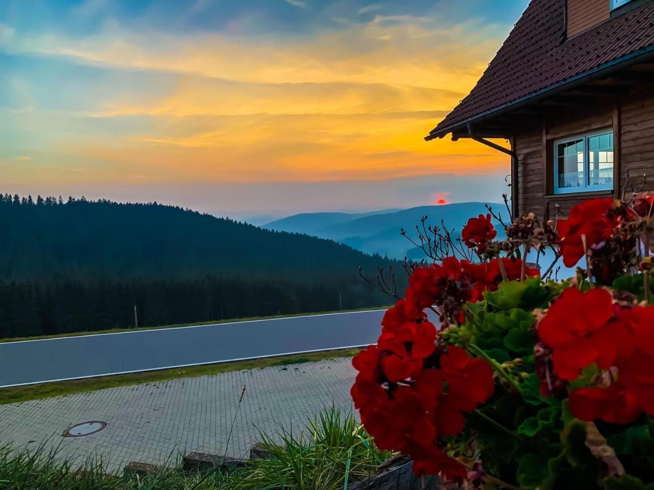 Pension Forsthaus Taele - Das Gaestehaus Vom Schwarzwaldgasthaus Salenhof Titisee-Neustadt Zewnętrze zdjęcie